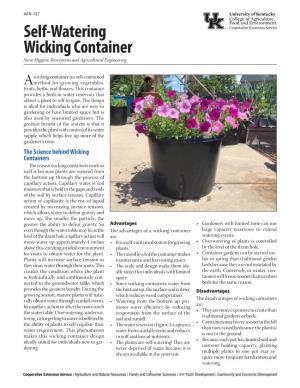 Self-Watering Wicking Container