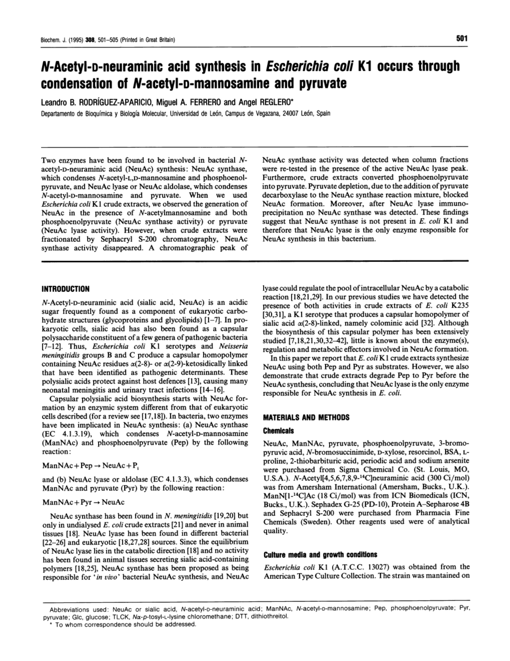 N-Acetyl-D-Neuraminic Acid Synthesis in Escherichia Coli Ki Occurs Through Condensation of N-Acetyl-D-Mannosamine and Pyruvate Leandro B