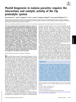 Plastid Biogenesis in Malaria Parasites Requires the Interactions and Catalytic Activity of the Clp Proteolytic System