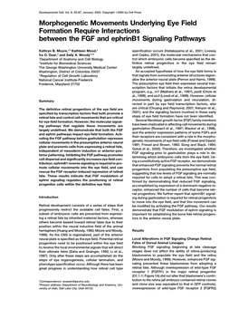 Morphogenetic Movements Underlying Eye Field Formation Require Interactions Between the FGF and Ephrinb1 Signaling Pathways