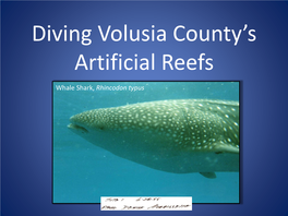 Diving Volusia County's Artificial Reefs