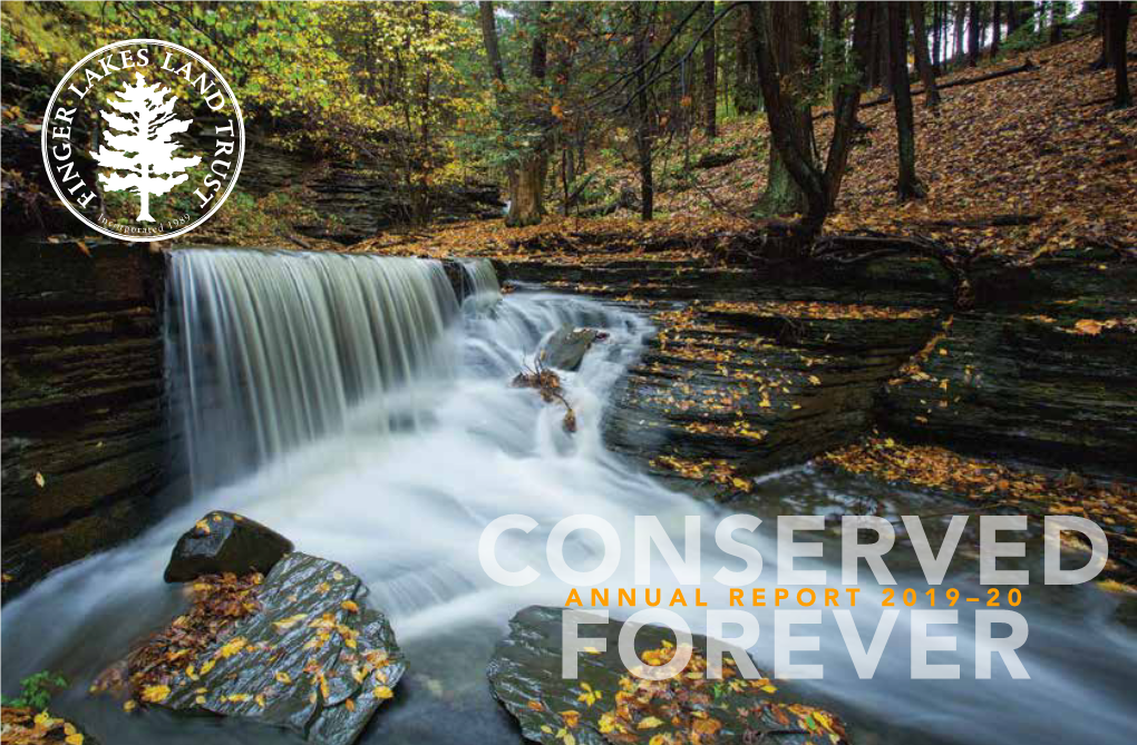 2019-2020 Annual Report (PDF)