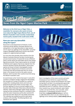 Ngari Talestales News from the Ngari Capes Marine Park No