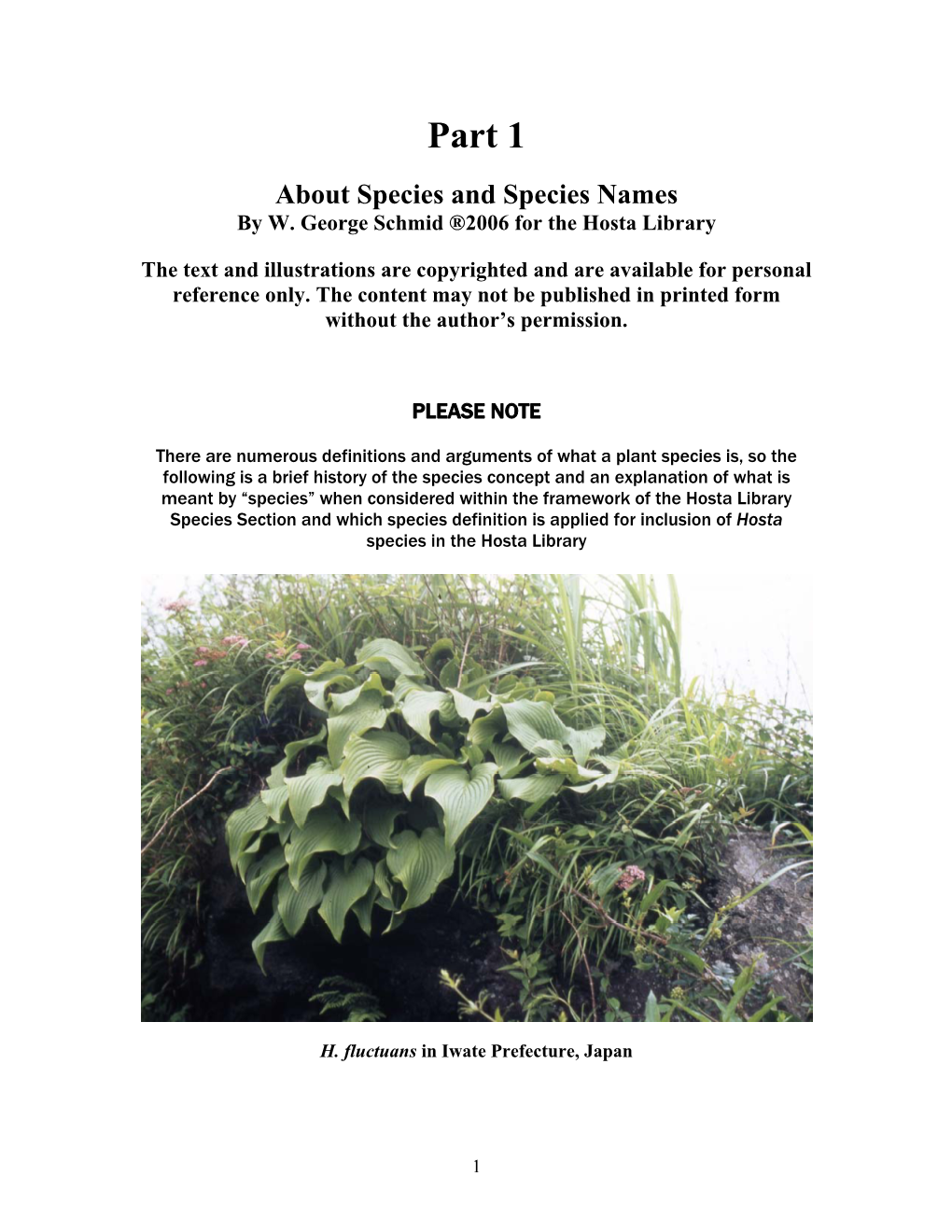 What Is a Hosta Species?