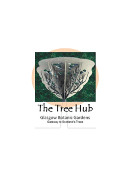 Tree Hub Study Report