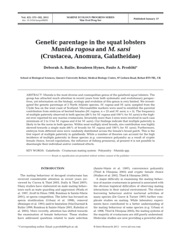 Genetic Parentage in the Squat Lobsters Munida Rugosa and M