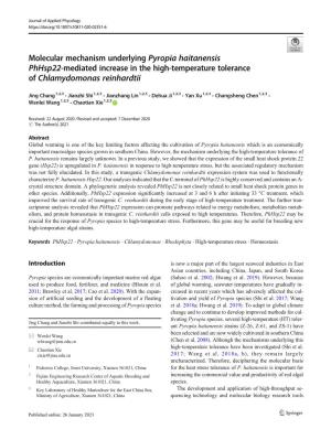 Molecular Mechanism Underlying Pyropia Haitanensis Phhsp22-Mediated Increase in the High-Temperature Tolerance of Chlamydomonas Reinhardtii