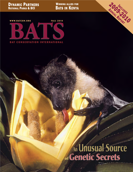 Dynamic Partners Bats in Kenya