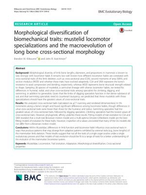 Morphological Diversification of Biomechanical Traits: Mustelid Locomotor Specializations and the Macroevolution of Long Bone Cross-Sectional Morphology Brandon M