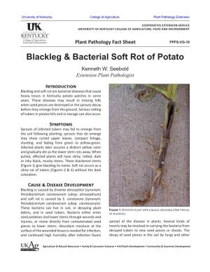 Blackleg & Bacterial Soft Rot of Potato