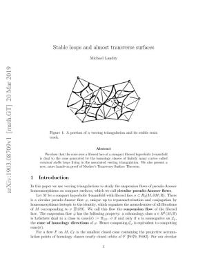 Stable Loops and Almost Transverse Surfaces