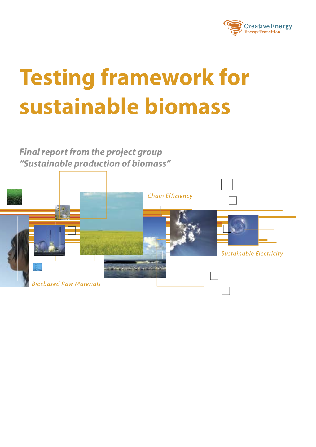 Testing Framework for Sustainable Biomass