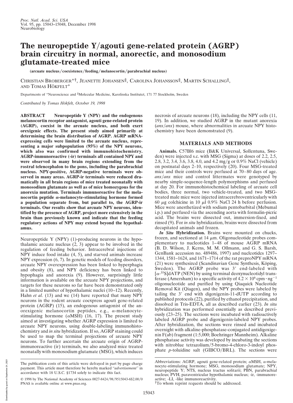 The Neuropeptide Y/Agouti Gene-Related Protein (AGRP) Brain Circuitry in Normal, Anorectic, and Monosodium Glutamate-Treated