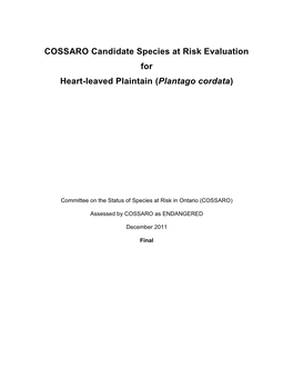 COSSARO Candidate Species at Risk Evaluation for Heart-Leaved Plaintain (Plantago Cordata)