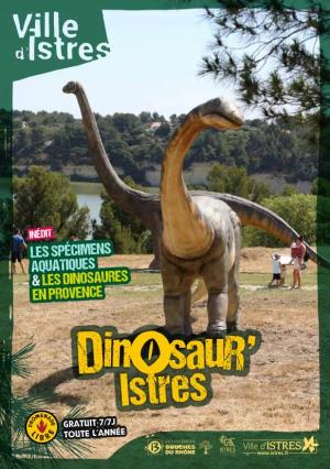 LES SPÉCIMENS Aquatiques &LES Dinosaures EN Provence