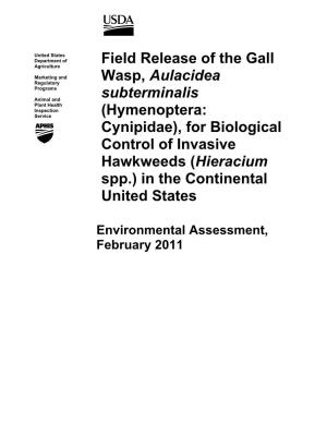 Field Release of the Gall Wasp, Aulacidea Subterminalis