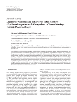 Locomotor Anatomy and Behavior of Patas Monkeys (Erythrocebus Patas) with Comparison to Vervet Monkeys (Cercopithecus Aethiops)