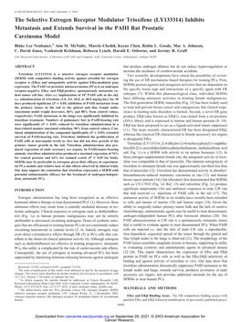 The Selective Estrogen Receptor Modulator Trioxifene (LY133314) Inhibits Metastasis and Extends Survival in the PAIII Rat Prostatic Carcinoma Model