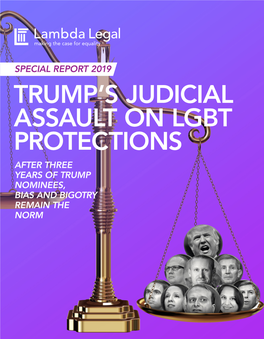 Trump's Judicial Assault on Lgbt Protections