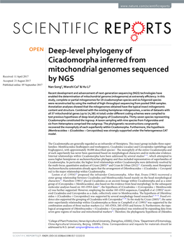 Deep-Level Phylogeny of Cicadomorpha Inferred From
