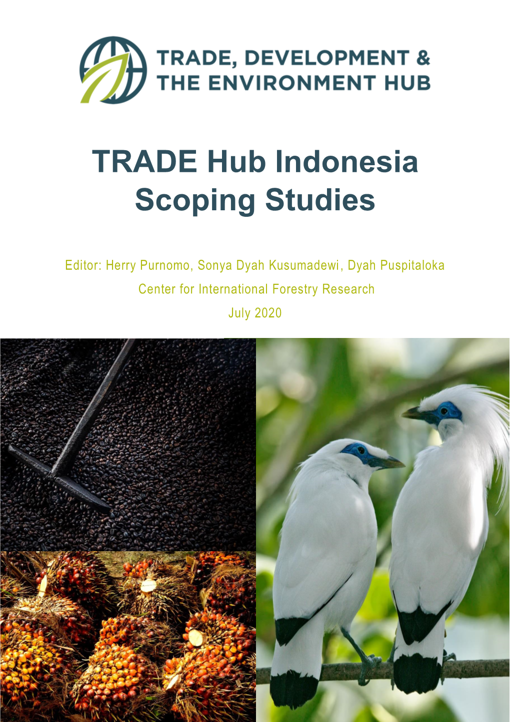 TRADE Hub Indonesia Scoping Studies