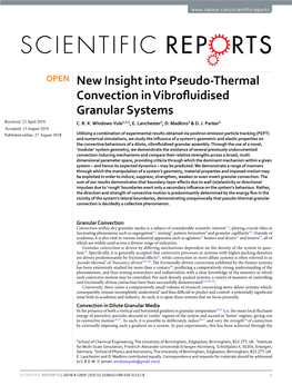 New Insight Into Pseudo-Thermal Convection in Vibrofluidised