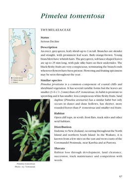 Threatened Plants of Waikato Conservancy