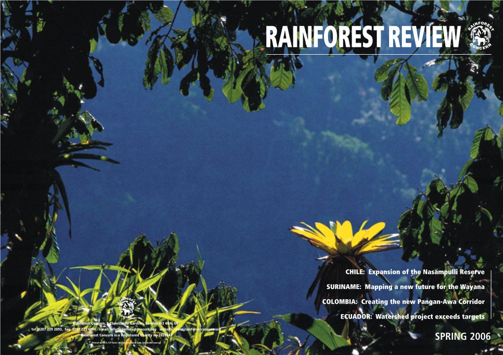 Rainforest Review 2004
