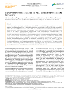 Stenotrophomonas Bentonitica Sp. Nov., Isolated from Bentonite Formations