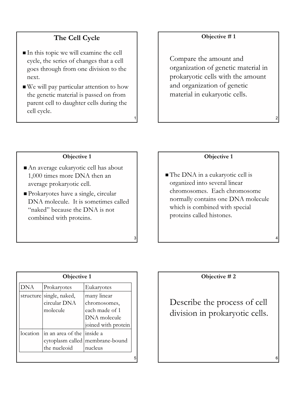 Describe the Process of Cell Division in Prokaryotic Cells