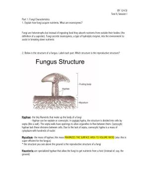 BY 124 SI Test II, Session I Part 1: Fungi Characteristics 1