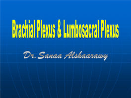 2- Brachial Plexus & Lumbosacral Plexus.Pdf