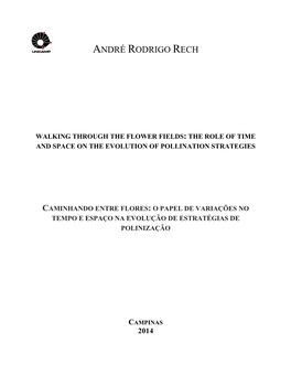 André Rodrigo Rech