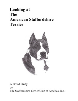 Looking at the American Staffordshire Terrier