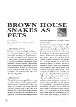Brown House Snakes As Pets