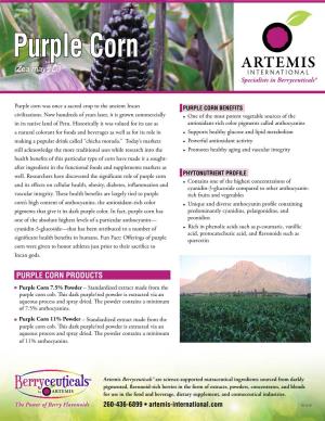 Purple Corn (Zea Mays L.)