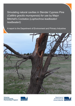 For Use by Major Mitchell's Cockatoo (Lophochroa Leadbeateri) in Pine Plains, Wyperfeld National Park