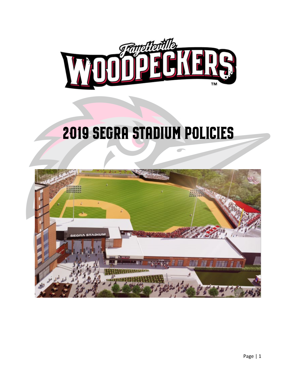 2019 Segra Stadium Policies