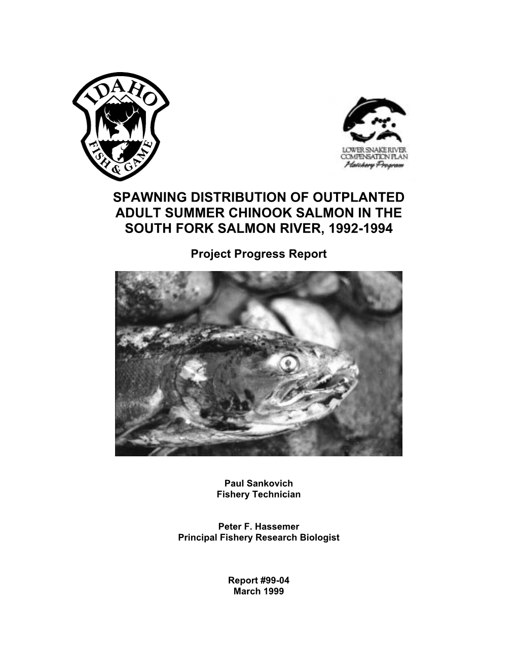 Spawning Distribution of Outplanted Adult Summer Chinook Salmon in the South Fork Salmon River, 1992-1994