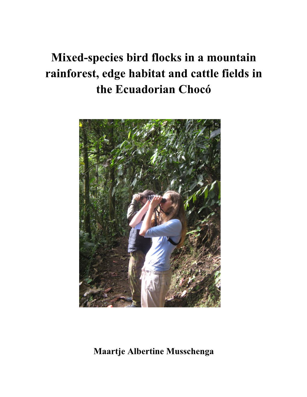 Mixed-Species Bird Flocks in a Mountain Rainforest, Edge Habitat and Cattle Fields in the Ecuadorian Chocó