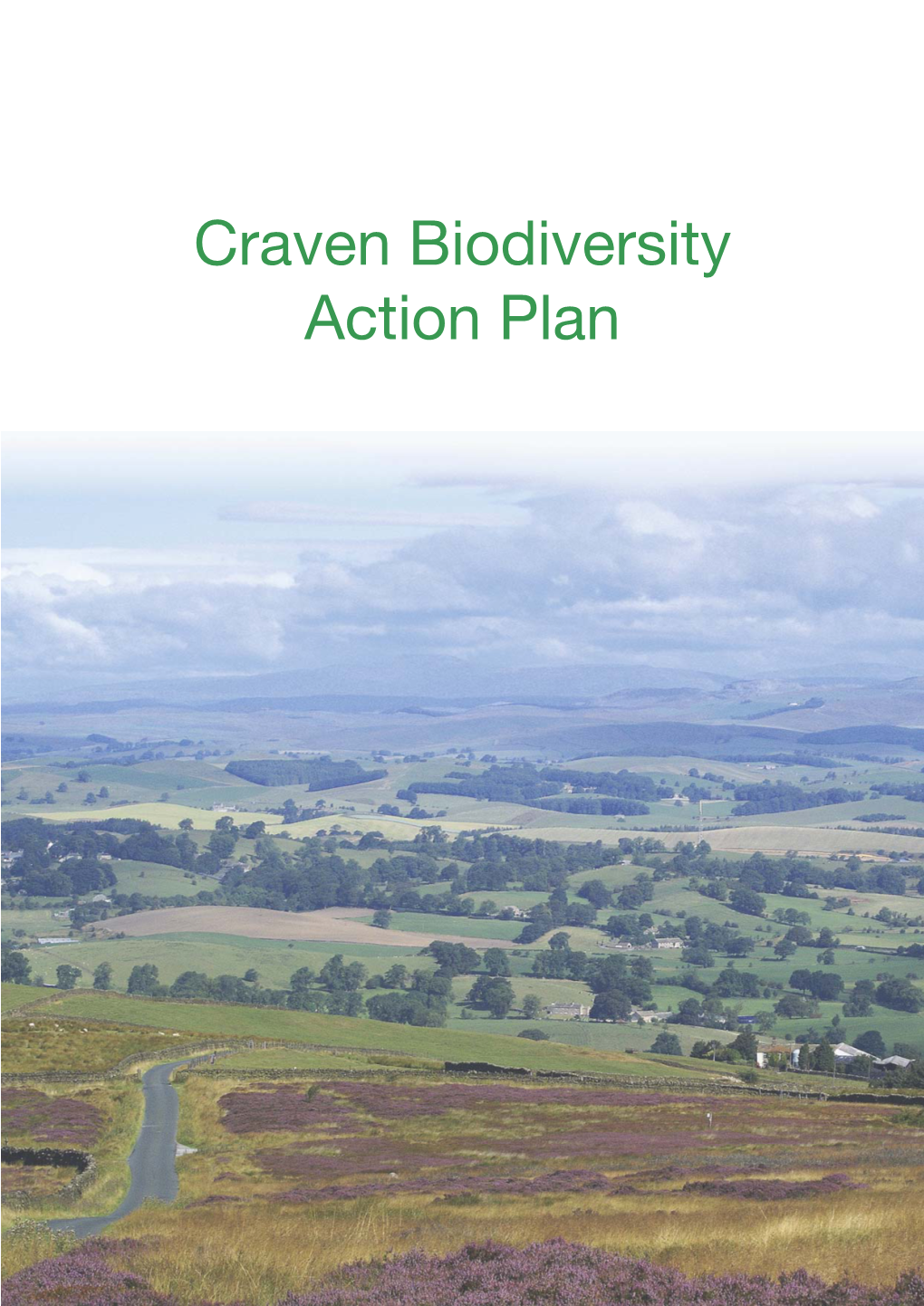 33622 Bes Biodiversity Action Plan:37915J