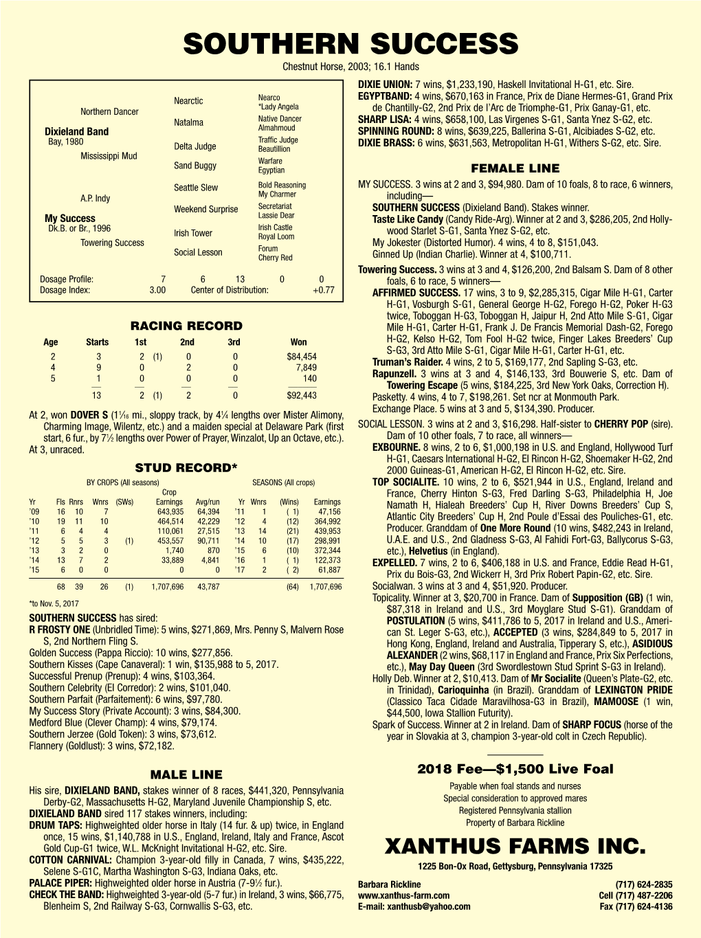 SOUTHERN SUCCESS Chestnut Horse, 2003; 16.1 Hands DIXIE UNION: 7 Wins, $1,233,190, Haskell Invitational H-G1, Etc