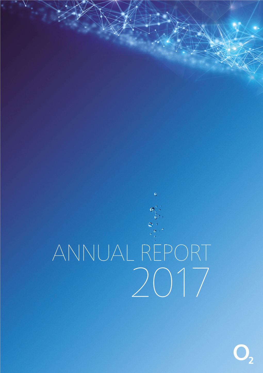 2017 Annual Report | Translation from the Czech Original 2 Table of Contents