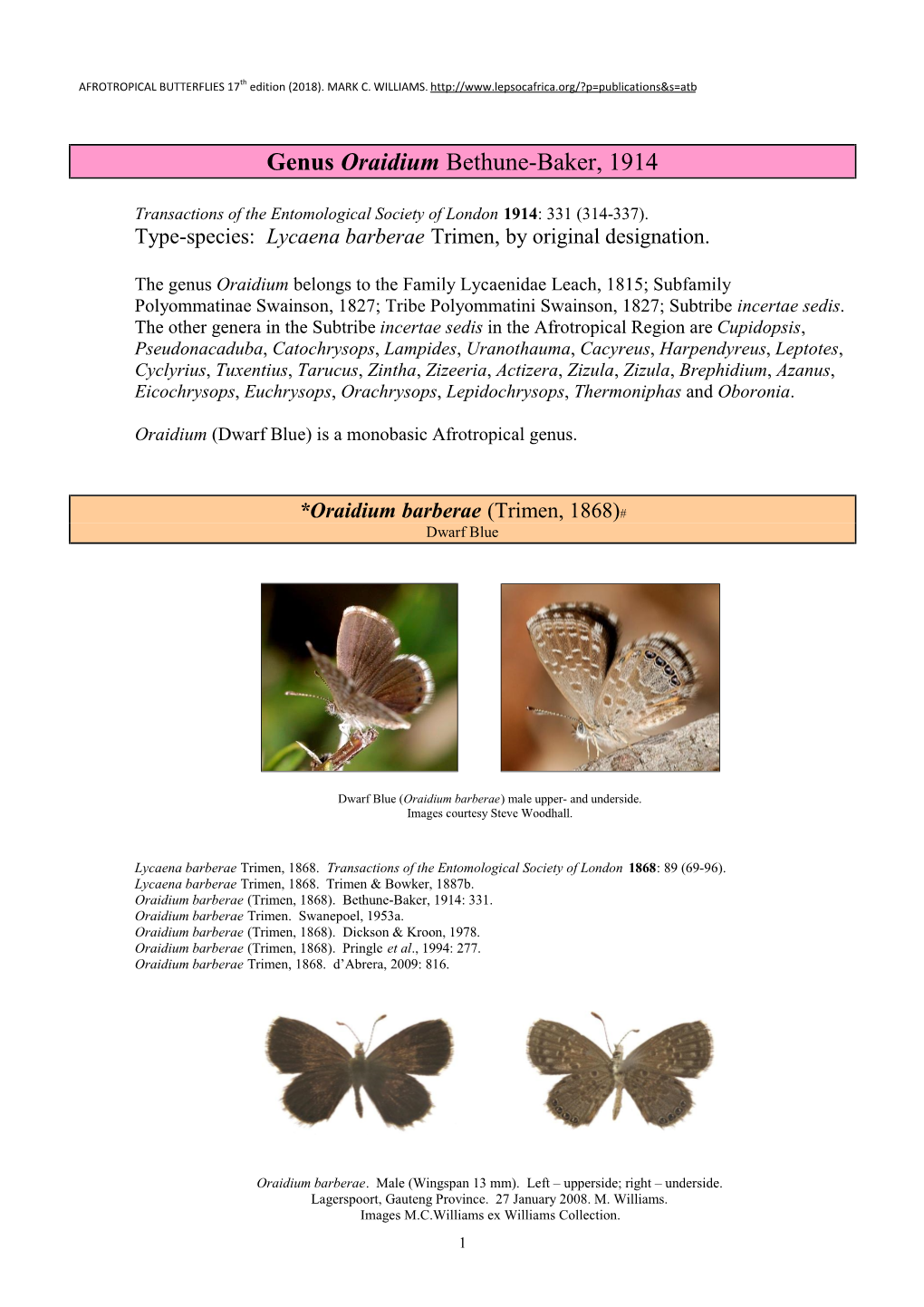 395 Genus Oraidium Bethune-Baker