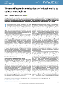 The Multifaceted Contributions of Mitochondria to Cellular Metabolism