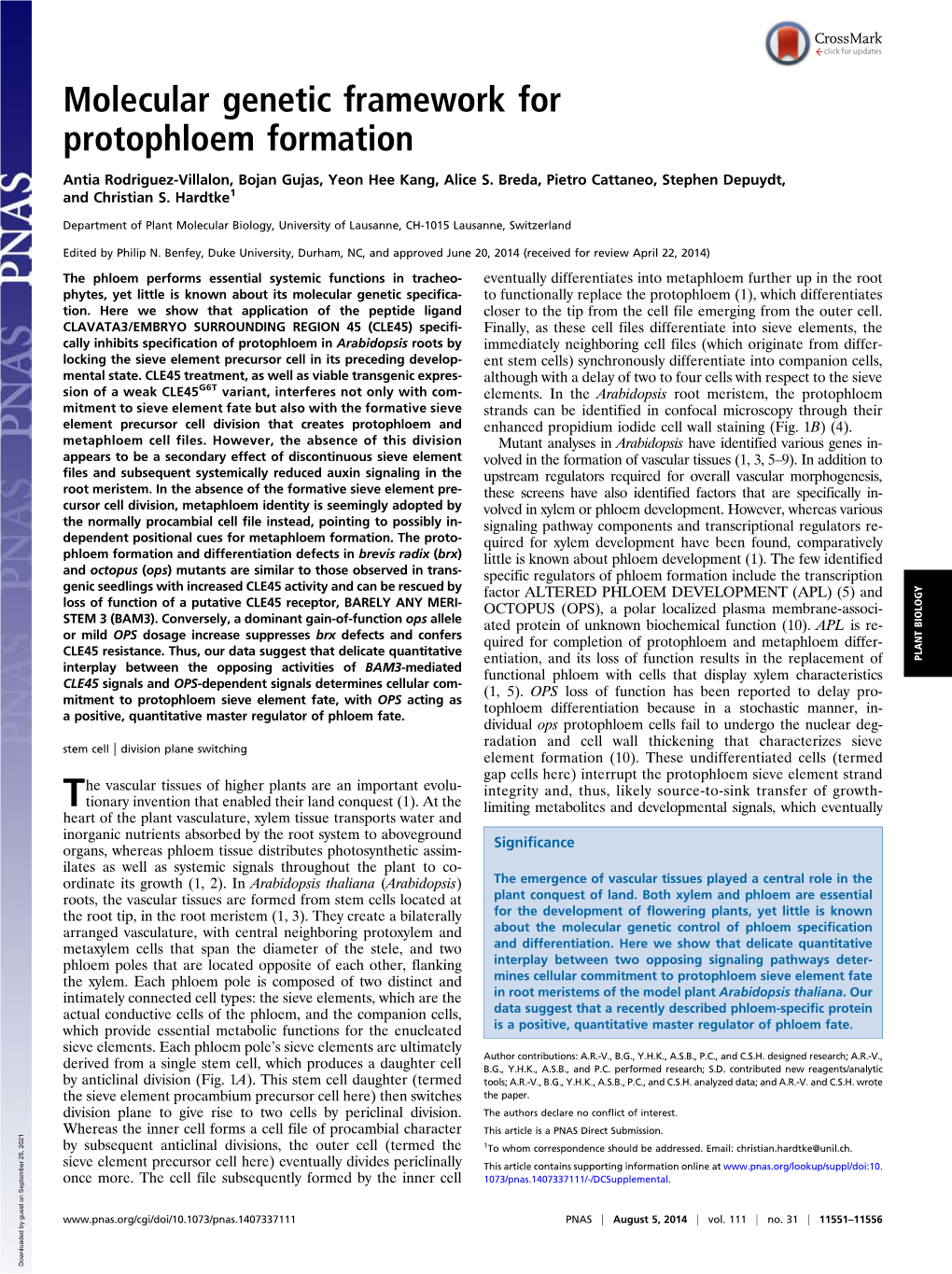 Molecular Genetic Framework for Protophloem Formation