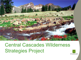 Central Cascades Wilderness Strategies