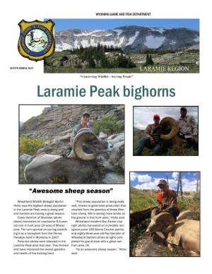 Laramie Peak Bighorns