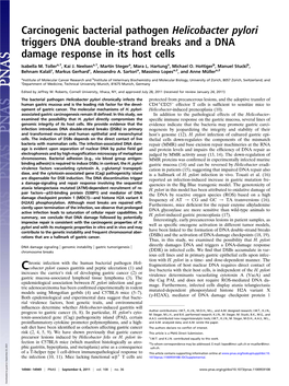 Carcinogenic Bacterial Pathogen Helicobacter Pylori Triggers DNA Double-Strand Breaks and a DNA Damage Response in Its Host Cells