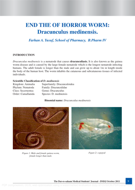 END the of HORROR WORM: Dracunculus Medinensis